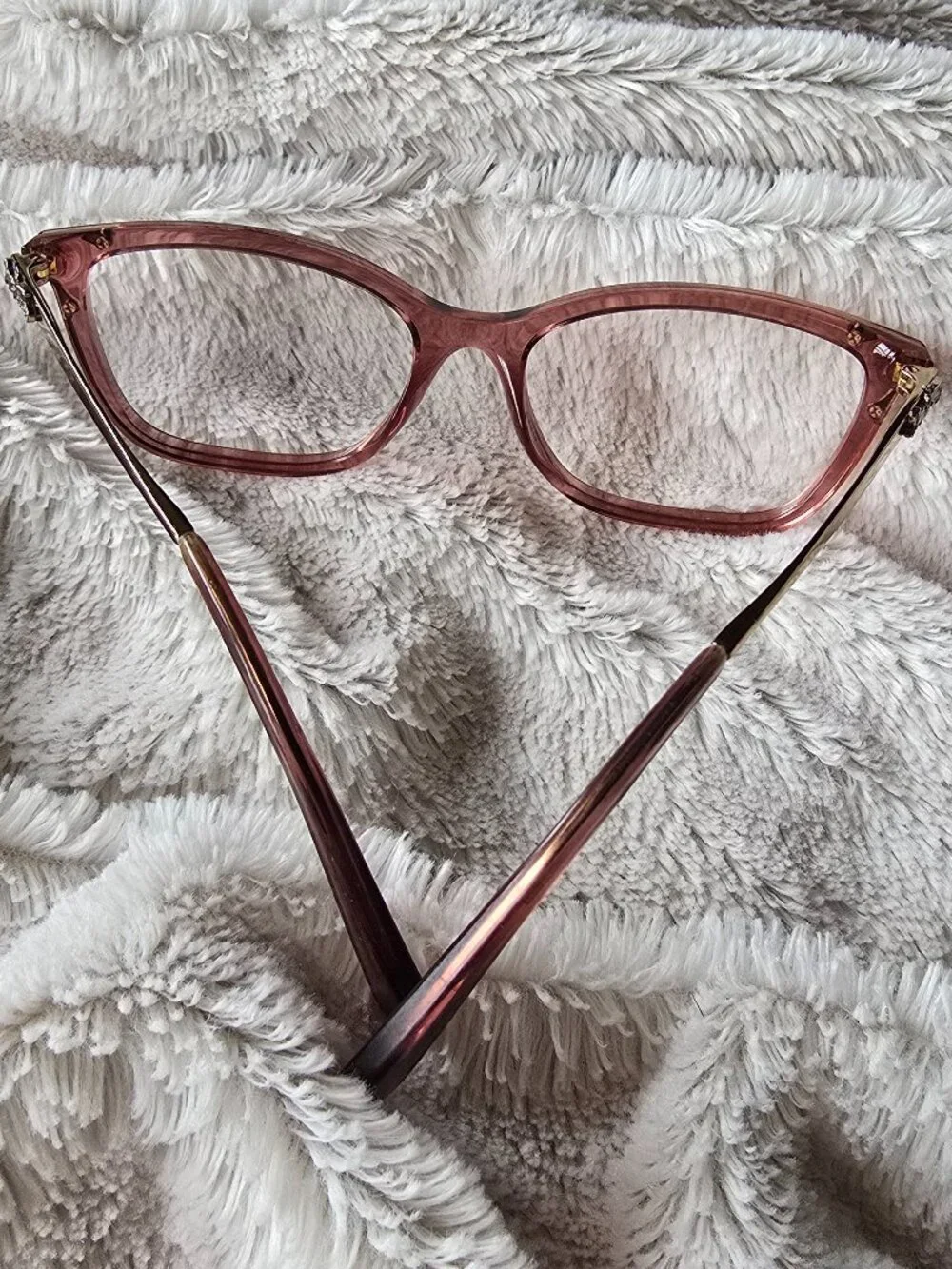 Coach Transparent Berry Frames